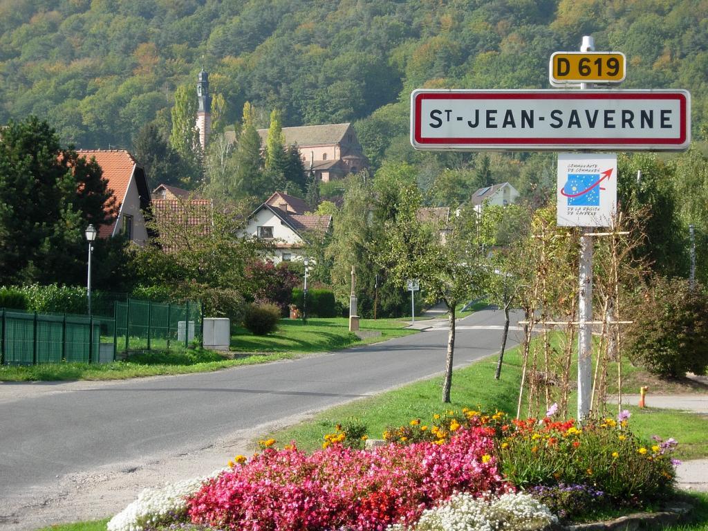Chambres D'Hotes Les Vignes Saint-Jean-Saverne Eksteriør billede