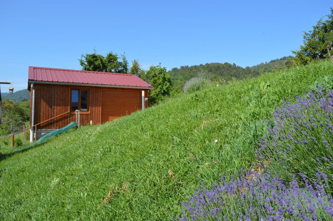 Chambres D'Hotes Les Vignes Saint-Jean-Saverne Eksteriør billede