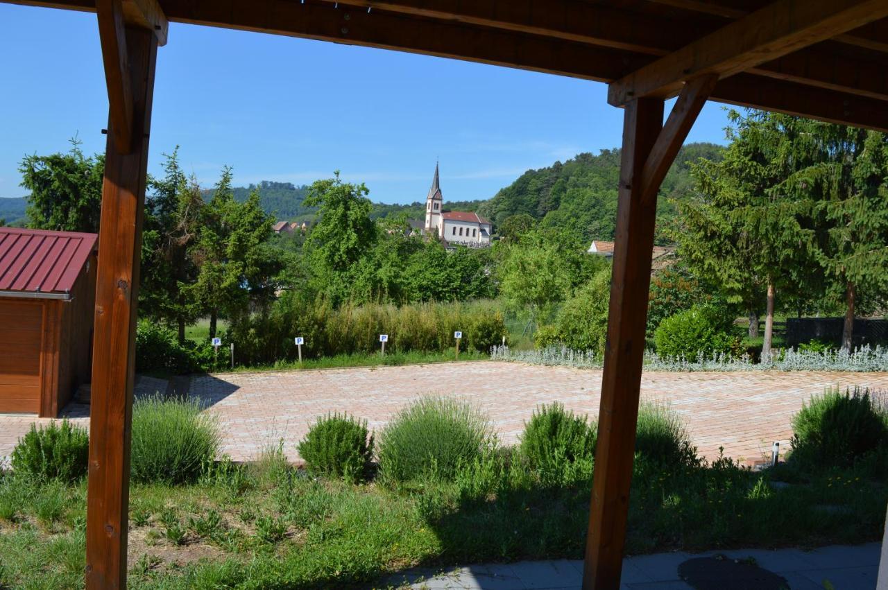 Chambres D'Hotes Les Vignes Saint-Jean-Saverne Eksteriør billede