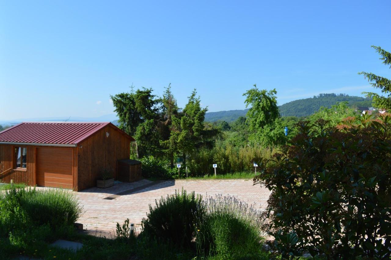 Chambres D'Hotes Les Vignes Saint-Jean-Saverne Eksteriør billede